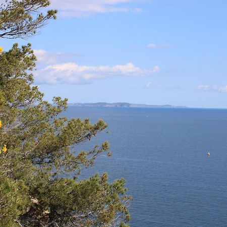 Studio L'Echappee Mandreenne Le Calme Entre Mer Et Foret Saint-Mandrier-sur-Mer Eksteriør billede