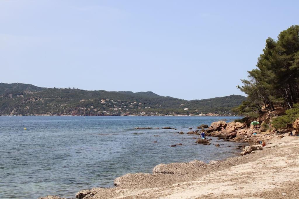 Studio L'Echappee Mandreenne Le Calme Entre Mer Et Foret Saint-Mandrier-sur-Mer Eksteriør billede