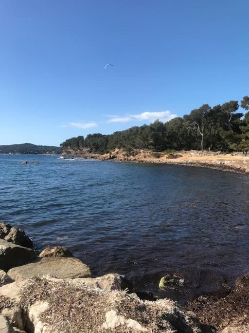 Studio L'Echappee Mandreenne Le Calme Entre Mer Et Foret Saint-Mandrier-sur-Mer Eksteriør billede