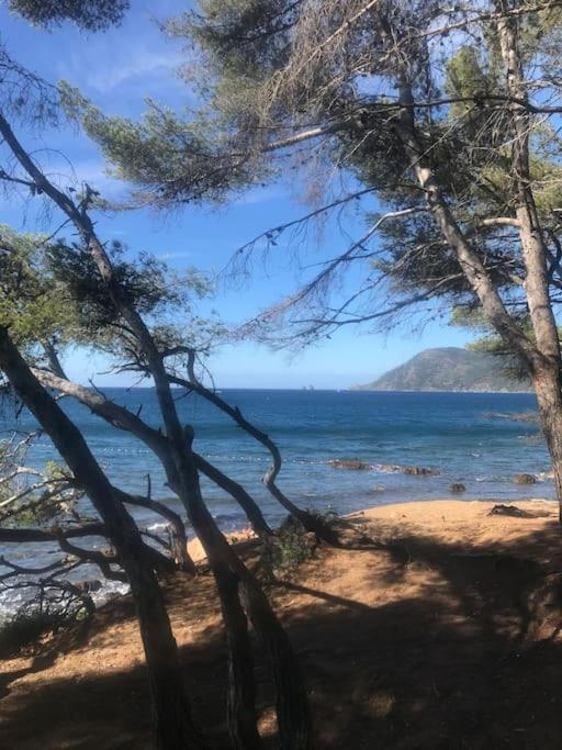 Studio L'Echappee Mandreenne Le Calme Entre Mer Et Foret Saint-Mandrier-sur-Mer Eksteriør billede