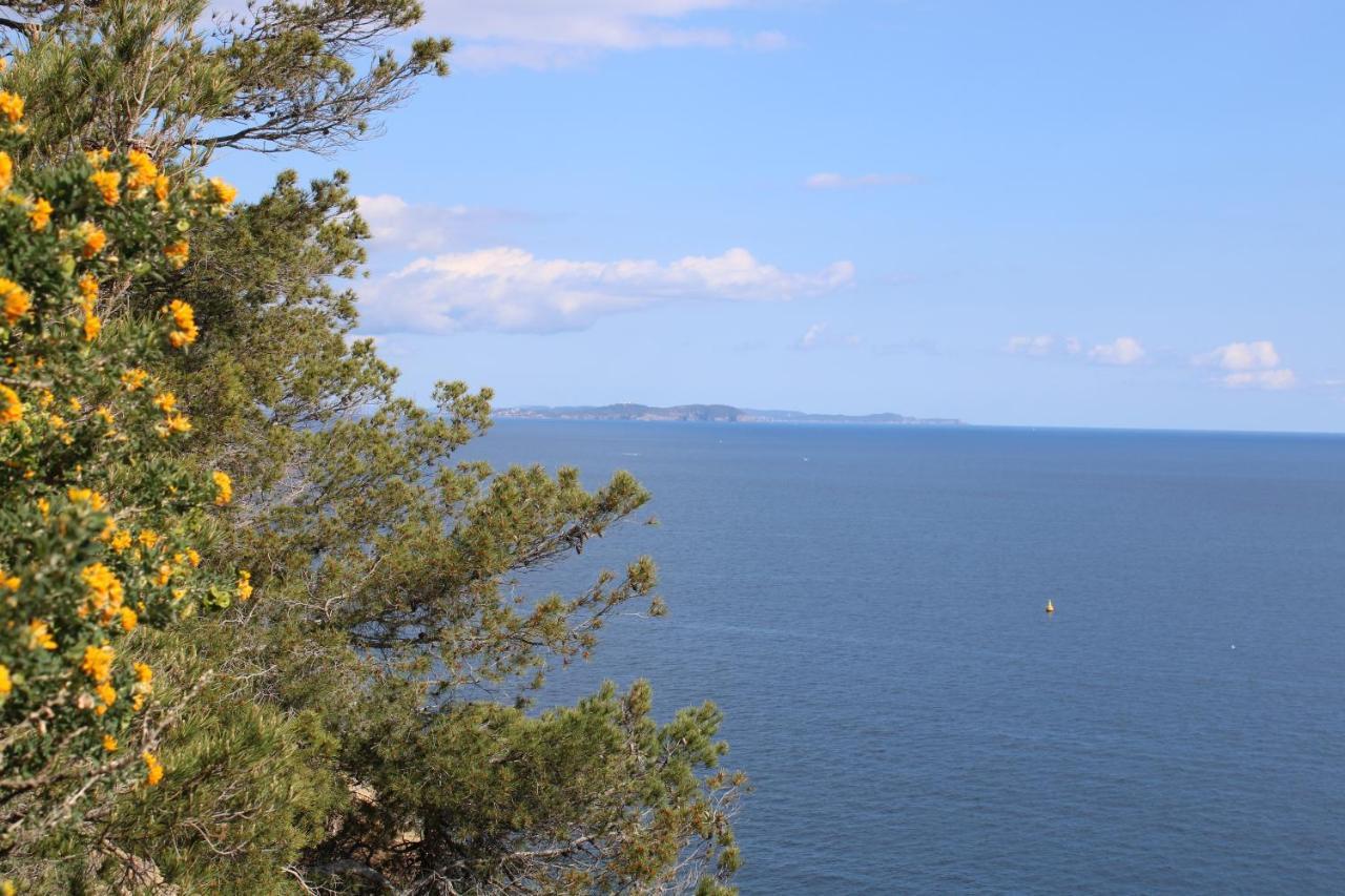 Studio L'Echappee Mandreenne Le Calme Entre Mer Et Foret Saint-Mandrier-sur-Mer Eksteriør billede